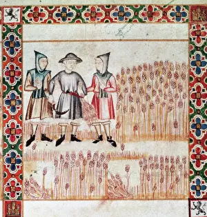 Alfonso: Canticles of Holy Mary. Men arresting a peasant