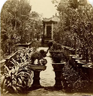 Negretti: Canton. General View of How Qua's Garden