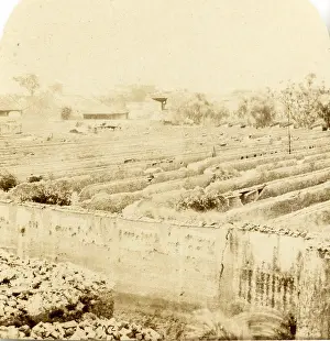 Negretti: Canton, The Grounds of the Examination Hall
