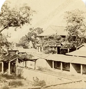 Negretti: Canton. View in the grounds of the Imperial College
