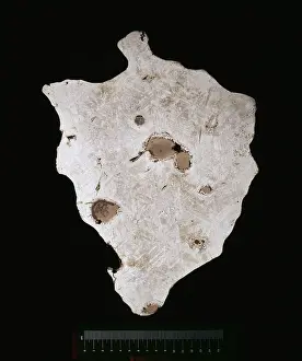 Diablo: The Canyon Diablo meteorite