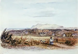 Wynberg: Cape of Good Hope and Wynberg from the Opposite Rising Plain