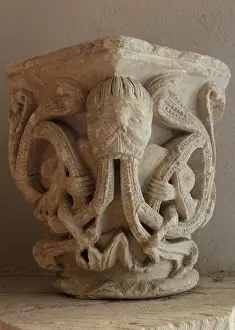 Vomiting: Capital, Abbaye Saint Nicolas, Angers, Maine-et-Loire