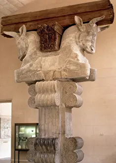 Shaft: Capital. Palace of Darius I