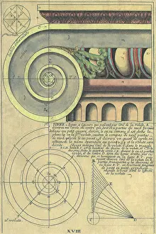 Volute: Capital Volute