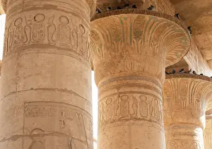 Meryamun: Capitals, Hypostyle hall, Ramesseum, Theban Necropolis