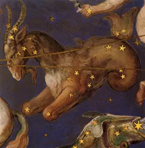 1575: Capricorn the Goat