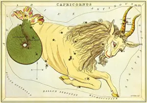 Serpentine: Capricorn, the Goat