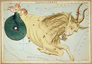Capricorn: Capricornus
