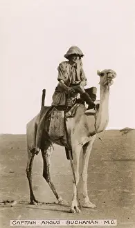 Saharan: Captain Angus Buchanan on a camel in Mesopotamia