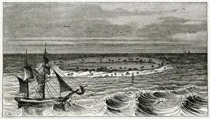 Beechey: Captain Beechey at Coral Atoll