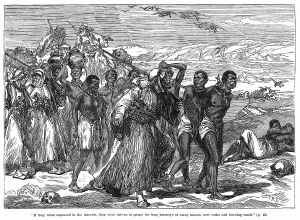 Gangs: Capture of Africans for slavery