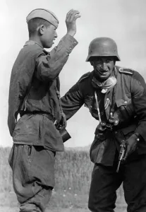 Searches: Capture of a Red Army soldier, 1941