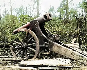 Mametz: Captured German gun, Mametz, Western Front, WW1