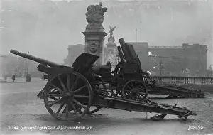 Symbolize: Captured German Guns at Buckingham Palace