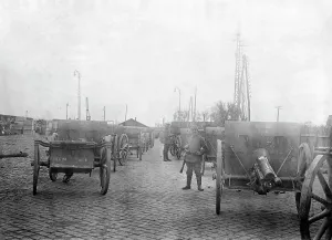 Transylvania: Captured Romanian artillery, 1916