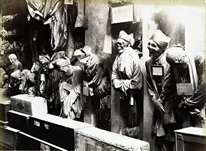 Crypt: Capuchin Catacombs of Palermo