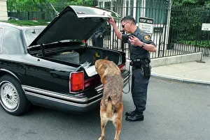 Specially: Car-check at White House