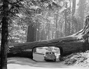 Coupes: Car driving through passage way in a fallen ?