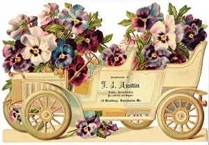 Stationer: Car full of pansies on an American scrap