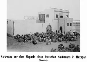 Camels: Caravan in front of the warehouse of a German