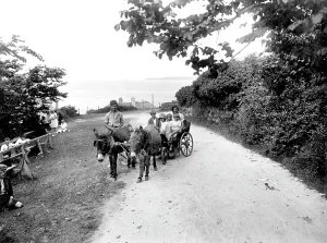 Carbis: Carbis Bay, Donkey's 1928