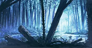 Palaeozoic: Carboniferous coal forest