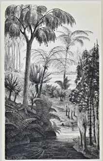 Buri: Carboniferous flora of Switzerland