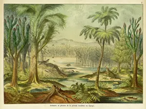 Carboniferous landscape in Europe