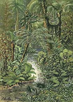 Terrarium: CARBONIFEROUS L'SCAPE