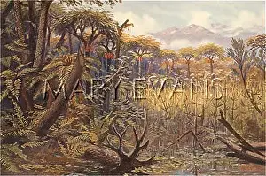 Evolving: CARBONIFEROUS L'SCAPE