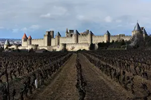 Cathars: Carcassonne