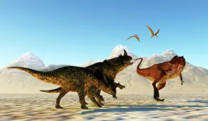 Pteranodon: A Carcharodontosaurus attacks a pair of Brachyceratops