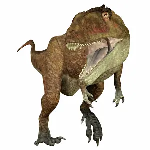 Iguidensis: Carcharodontosaurus dinosaur roaring, front view