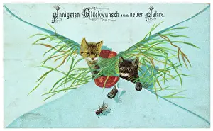 Astonishment: Card - Kittens