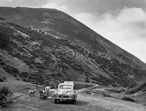 Carding: CARDING MILL VALLEY