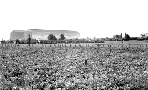 Cardington: Cardington, RAF Base c1955