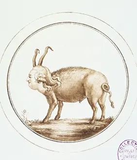 1791: Caricature Against Louis XVI. Anonymous