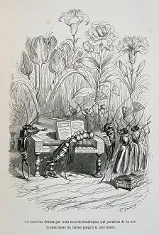 Edited: Caricature of The private and public life of animals, by J.J