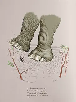 Edited: Caricature of The private and public life of animals, by J.J