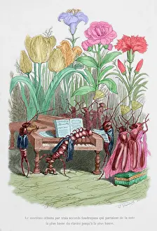 Edited: Caricature of The private and public life of animals, by J.J