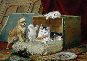 Caring: A Caring Friend ' dog with cat & kittens