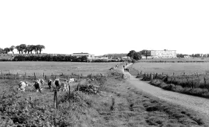 Carisbrooke: Carisbrooke, Newport School c1955