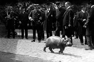 Hagenbeck: Carl Hagenbeck