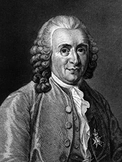 1707: Carl Linnaeus, Swedish Botanist, Father of Modern Taxonomy