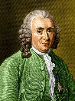 Zoologist: Carl Linnaeus, Swedish Botanist