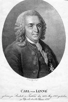 Carolus: Carl von Linne