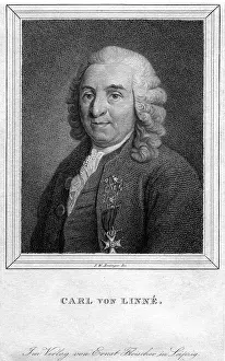 Linne: Carl von Linne