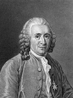 Carolus: Carl von Linne