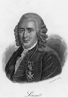 Carolus: Carl von Linne